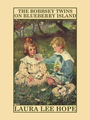 cover image of The Bobbsey Twins on Blueberry Island
